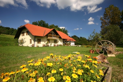 Kmetija z nastanitvijo Borko Danijela